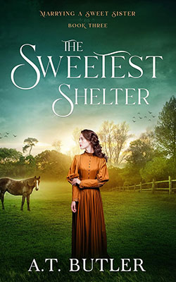 The Sweetest Shelter